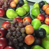 1.&nbsp;andini-galerie-1 [10]